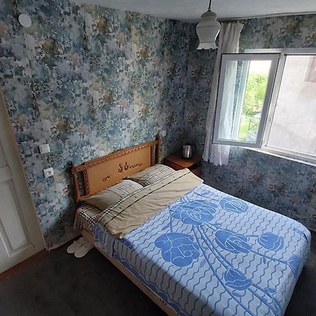 Guesthouse Angelina-Koko ซิคนาคี ภายนอก รูปภาพ